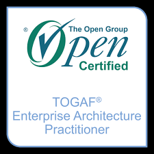 TOGAF Practitioner